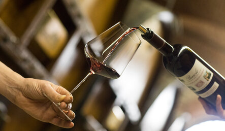 Kde můžete ochutnat vína z vinařství Francie