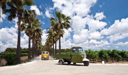 La Fattoria – víno a destiláty s.r.o.