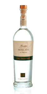 Grappa di Moscato 41% 0,5 l Monovitigno L22E010E