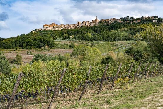 montemercurio-vendemmia-06-2e682285