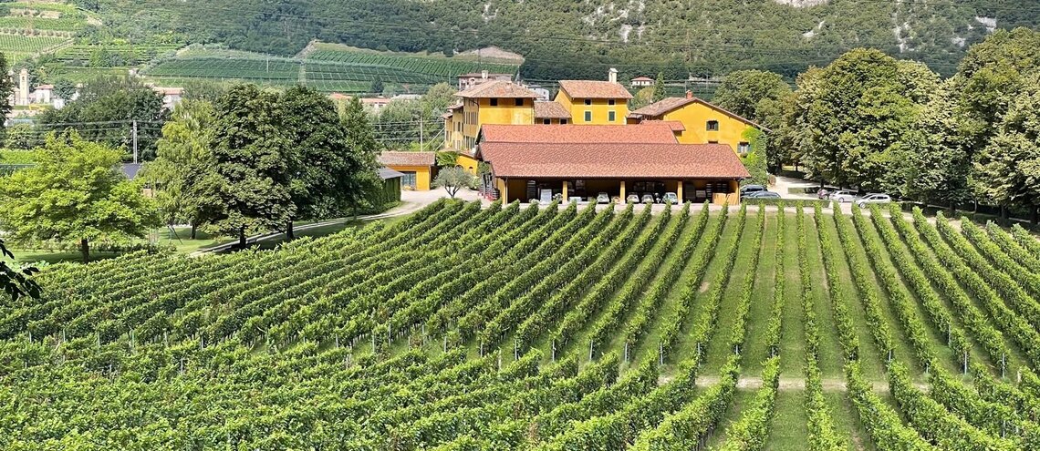 San Leonardo X San Leonardo X