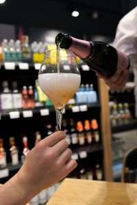 Bubble party s vinařstvím Endrizzi