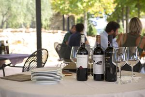 Akce s toskánskými vinaři 27.3.2025