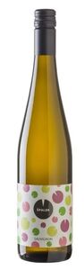 Sauvignon 2022, BIO, kabinet